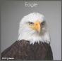 Eagle 2022 Calendar - Preview