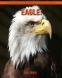 Eagle! An Educational Children'S Book About Eagle With Fun Facts - Preview