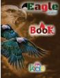 Eagle Coloring Book For Kids - Preview