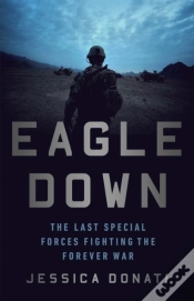 Capa do artigo Eagle Down