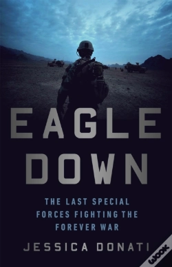 Capa do artigo Eagle Down