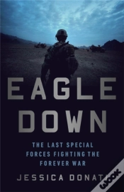 Capa do artigo Eagle Down