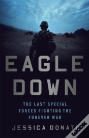 Capa do artigo Eagle Down