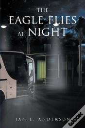 Capa do artigo Eagle Flies At Night