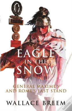 Capa do artigo Eagle In The Snow