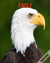 Capa do artigo Eagle