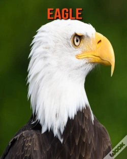 Capa do artigo Eagle