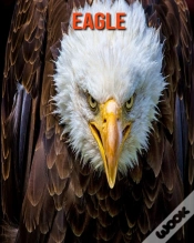 Capa do artigo Eagle