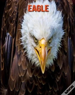 Capa do artigo Eagle