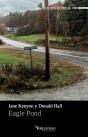 Eagle Pond - Preview