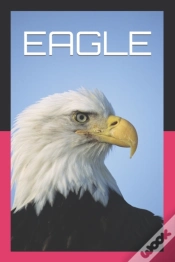 Capa do artigo Eagle