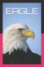 Eagle - Preview