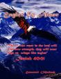 Eagles Fly Alone - Preview