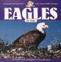 Eagles For Kids - Preview