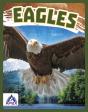 Eagles - Preview