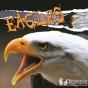 Eagles - Preview