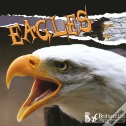 Capa do artigo Eagles