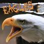 Eagles - Preview