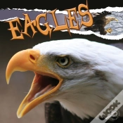 Capa do artigo Eagles