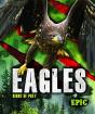 Eagles - Preview