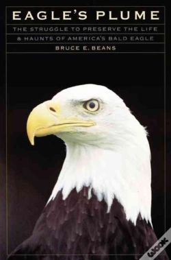 Capa do artigo Eagle'S Plume