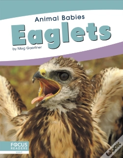 Capa do artigo Eaglets