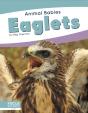 Eaglets - Preview