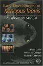 Early Development Xenopus Laevis - Preview