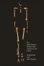 Early Modern Human From Tianyuan Cave, China - Preview