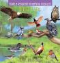 Early Reader Rhyming Riddles Bird Life - Preview