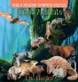 Early Reader Rhyming Riddles - Preview