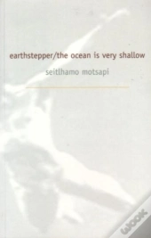 Earth Stepper/The Ocean Is Very Shallow