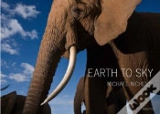 Capa do artigo Earth To Sky