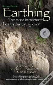 Capa do artigo Earthing (2nd Edition)