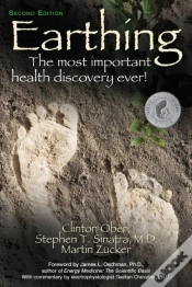 Capa do artigo Earthing
