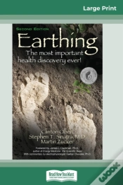 Capa do artigo Earthing