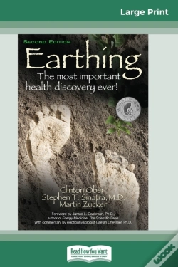 Capa do artigo Earthing