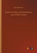 Earthwork Slips And Subsidences Upon Public Works