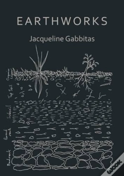 Capa do artigo Earthworks