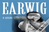 Earwig