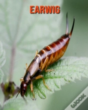 Capa do artigo Earwig
