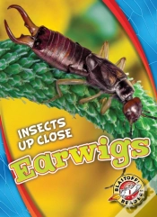 Capa do artigo Earwigs