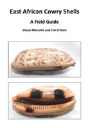 East African Cowry Shells - Preview