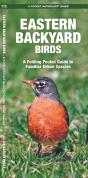 Eastern Backyard Birds - Preview