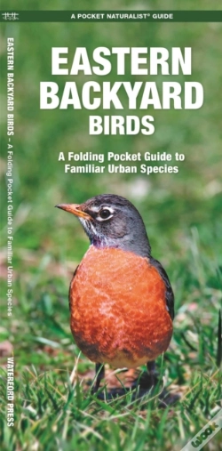 Capa do artigo Eastern Backyard Birds