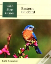 Capa do artigo Eastern Bluebird