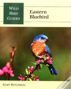 Capa do artigo Eastern Bluebird