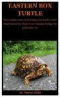 Eastern Box Turtle - Preview