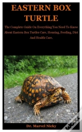Eastern Box Turtle