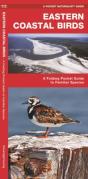 Eastern Coastal Birds - Preview